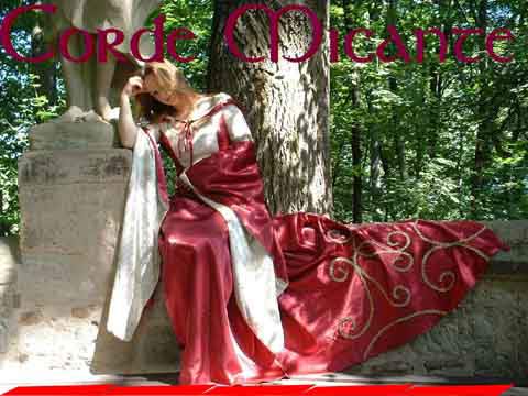 elvish celtic wedding dresses